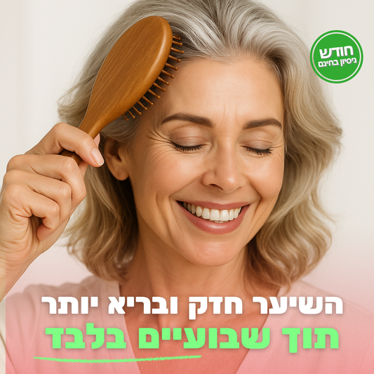 מברשת במבוק